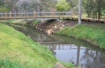 darebin-trail-119_0