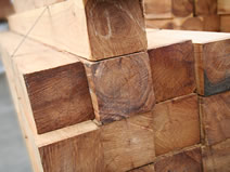 Cypress Pine